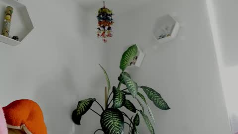 Saray  online show from 2, 2, 2026