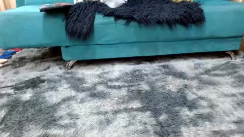 sarita_klein online show from 8, 11, 2025