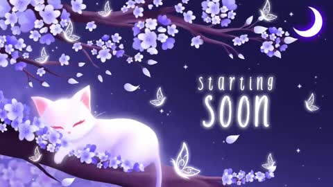 Sassy Sami Kittyn online show from 3, 3, 2025