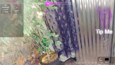 sassylatin45 online show from 12, 1, 2025