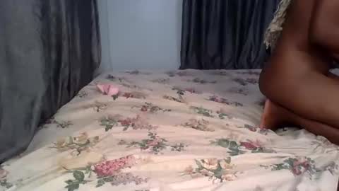 pety online show from 20, 4, 2026