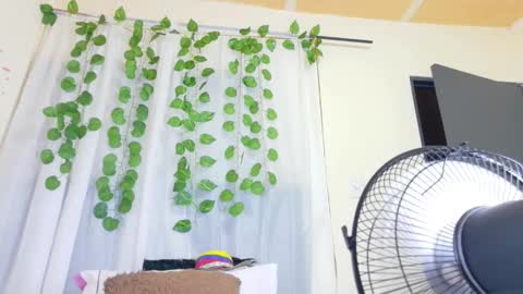 savory_pussy18 online show from 19, 3, 2026