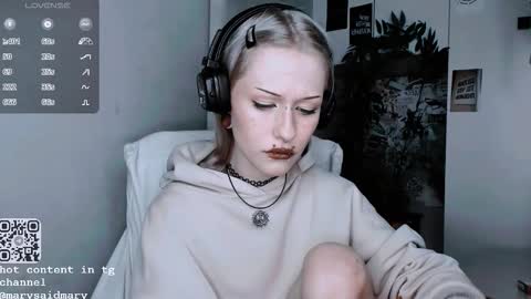 Snapshot of say_mary chatting on 30, 9, 2025 pronoun she. name Mary. age 21. online show from 30, 9, 2025