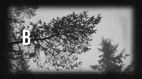 Snapshot of say_mary chatting on 19, 3, 2026 pronoun she. name Mary. age 21. online show from 19, 3, 2026