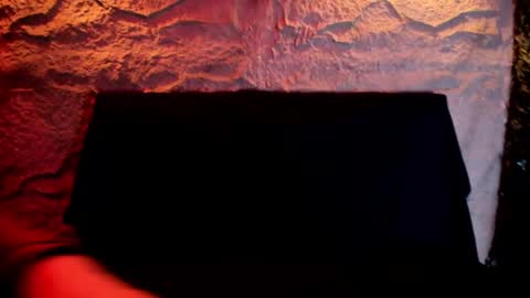 SCARLETT FOX  online show from 23, 9, 2025