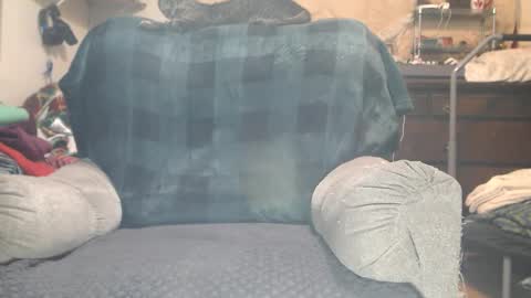 Scarlotta online show from 4, 2, 2026