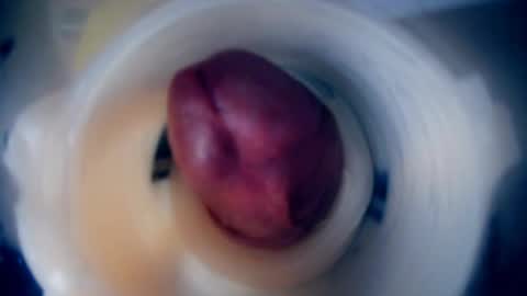 Scarr online show from 9, 2, 2026