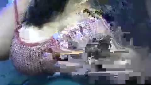 mai latina online show from 25, 4, 2026