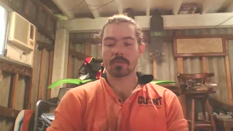 scincere369 online show from 13, 3, 2026