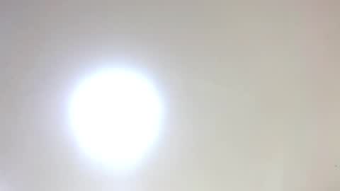 Damar online show from 16, 1, 2026