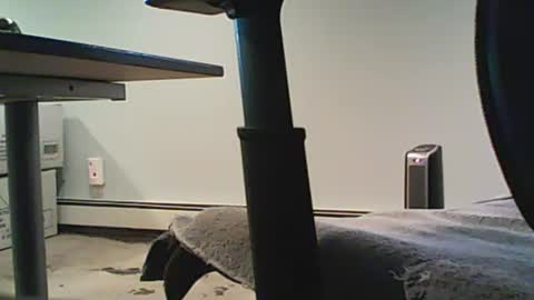 scottie813 online show from 12, 12, 2024