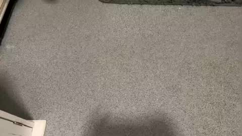 scottyc48 online show from 12, 1, 2026