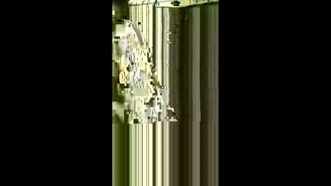 scoutiii online show from 1, 5, 2026