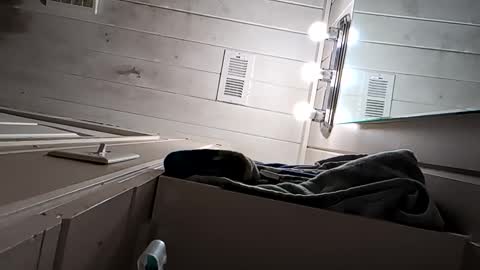 Arin online show from 22, 4, 2026