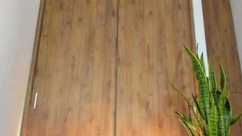 sebastian online show from 3, 2, 2026