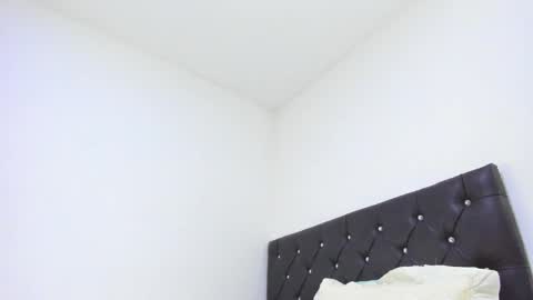 SEBAS  online show from 21, 2, 2025