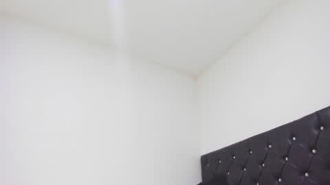 SEBAS  online show from 26, 2, 2025