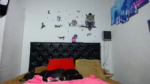 Myystiic online show from 21, 1, 2025