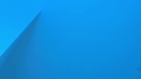 Sebastian online show from 2, 12, 2025