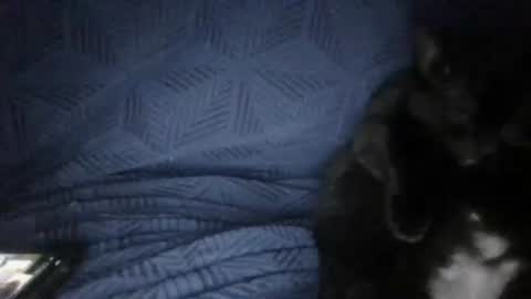 Sunny online show from 18, 3, 2026