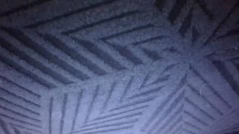 Sunny online show from 21, 3, 2026