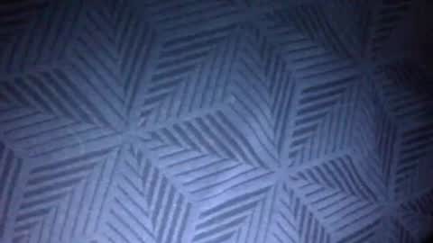 Sunny online show from 31, 3, 2026