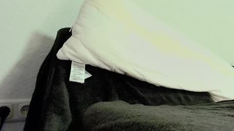 Snapshot of secretanni chatting on 3, 12, 2024 Anni online show from 3, 12, 2024