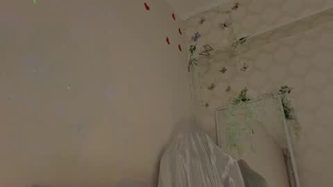 Mali online show from 20, 4, 2026