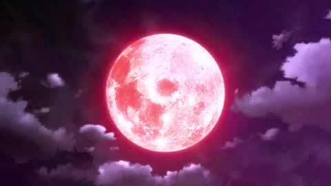 Selene G  online show from 7, 1, 2026