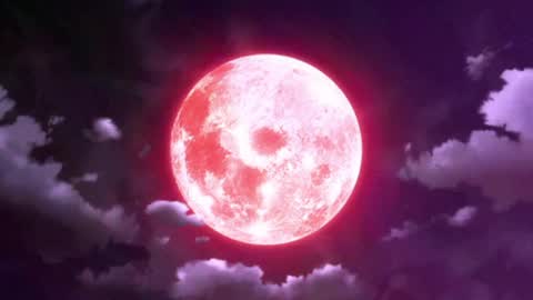 Selene G  online show from 27, 3, 2026