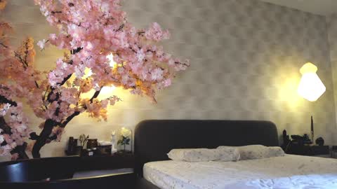 Gia online show from 28, 12, 2024