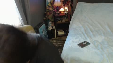 Tara online show from 2, 2, 2025