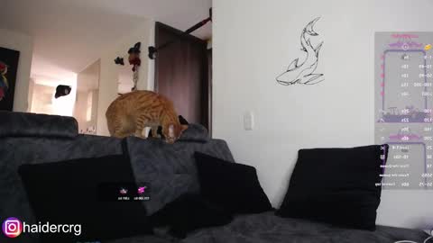 Snapshot of setth_69 chatting on 7, 2, 2026 setth online show from 7, 2, 2026