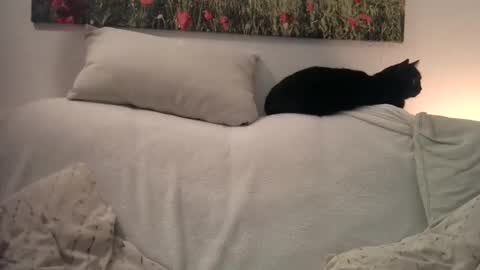 Sexurbation online show from 1, 1, 2025