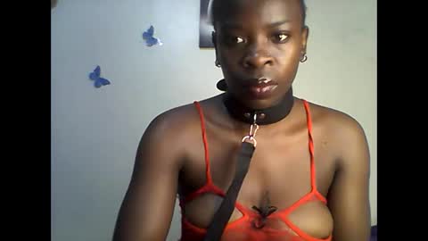 Ann online show from 11, 6, 2026