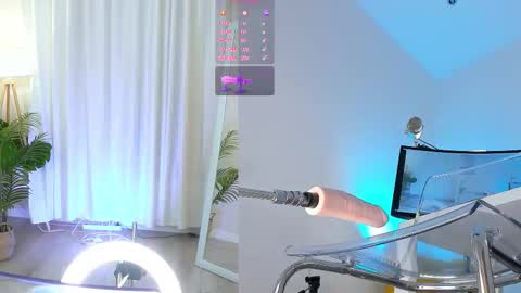 Lina online show from 15, 11, 2025