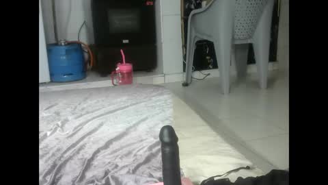 sexy pigeon online show from 3, 6, 2026