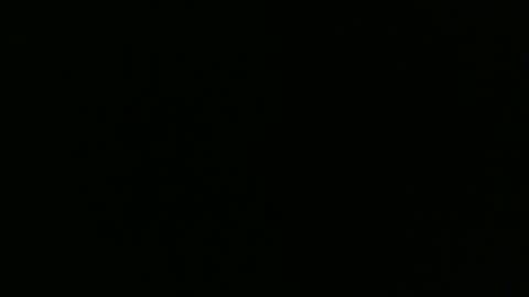 sexy_string online show from 19, 1, 2025