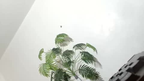 Snapshot of sexyhotbabe18 chatting on 7, 3, 2026 sexyhotbabe18 online show from 7, 3, 2026