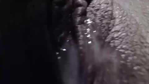 Snapshot of sexyjustin202 chatting on 26, 2, 2025 sexyjustin202 online show from 26, 2, 2025