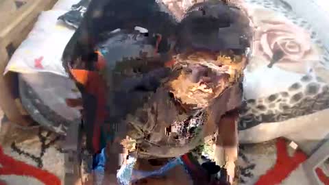 Snapshot of sexyjustin202 chatting on 12, 11, 2025 sexyjustin202 online show from 12, 11, 2025