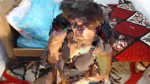 Snapshot of sexyjustin202 chatting on 1, 3, 2026 sexyjustin202 online show from 1, 3, 2026