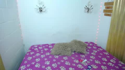 Kata sexy online show from 27, 6, 2026