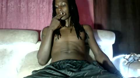 shades_x254 online show from 14, 7, 2026