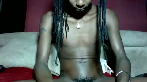 shades_x254 online show from 26, 7, 2026