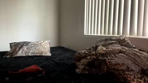 Shaman Woman online show from 25, 12, 2024