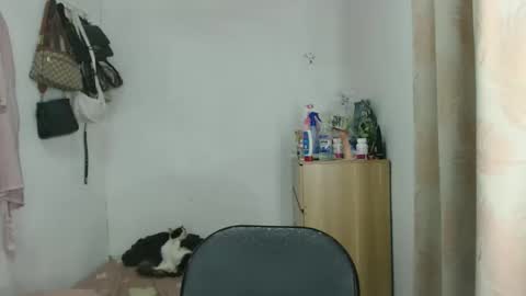 Snapshot of shanegreents chatting on 23, 12, 2025 bini aiah online show from 23, 12, 2025