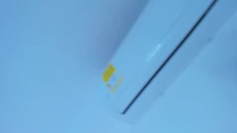 Shantal online show from 22, 12, 2025