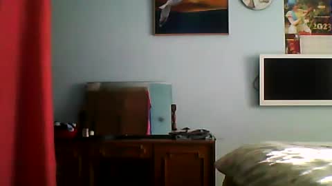 Snapshot of shaomy711 chatting on 29, 12, 2024 excelo21 online show from 29, 12, 2024