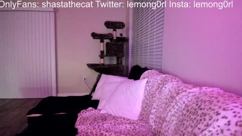 Shasta online show from 15, 12, 2024